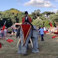 Elephants In The Room