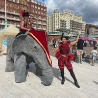 Elephants In The Room