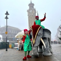 Elephants In The Room