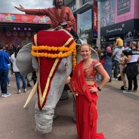 Elephants In The Room