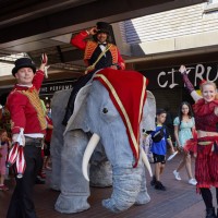 Elephants In The Room