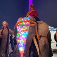 Elephants In The Room