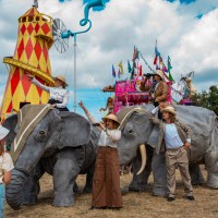 Elephants In The Room