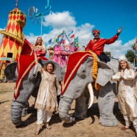 Elephants In The Room