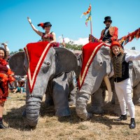 Elephants In The Room