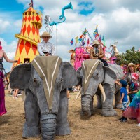 Elephants In The Room
