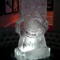 Ice Sculptures & Luges