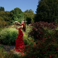 Electric Violin - Naomi