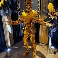 Luxe Mirror Performers