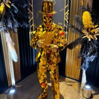 Luxe Mirror Performers