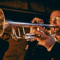 Luxe Brass