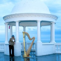 The Sussex Harpist
