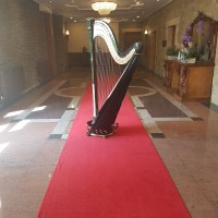 The Sussex Harpist