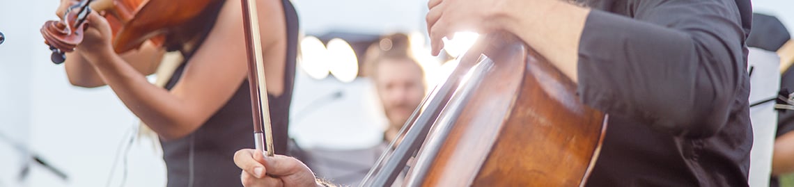 String Quartets for Hire in Devon