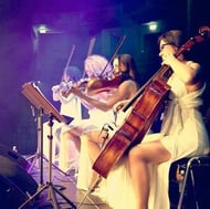 The Essex String Quartet