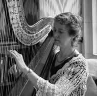 The Worcestershire Harpist