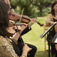 The Devon String Quartet