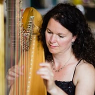 Michelle The Birmingham Harpist