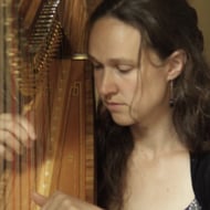 The East Sussex Harpist