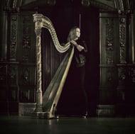 The Sussex Harpist