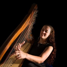 The South West Harpist