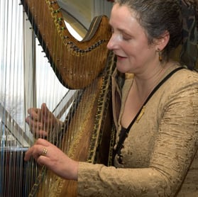 The West Yorkshire Harpist