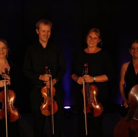The Mezzo String Quartet