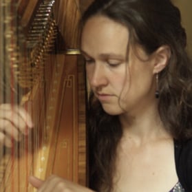 The East Sussex Harpist