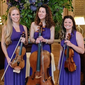 Maestoso Strings