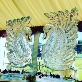 Ice Sculptures & Luges