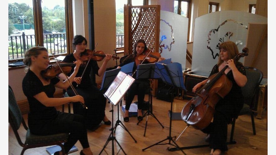 The Essex String Quartet