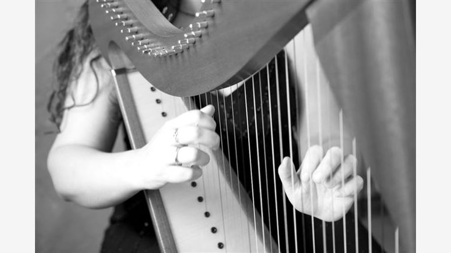 The South West Harpist