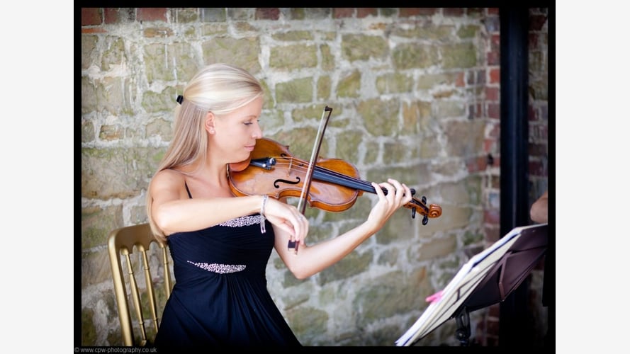 Maestoso Strings