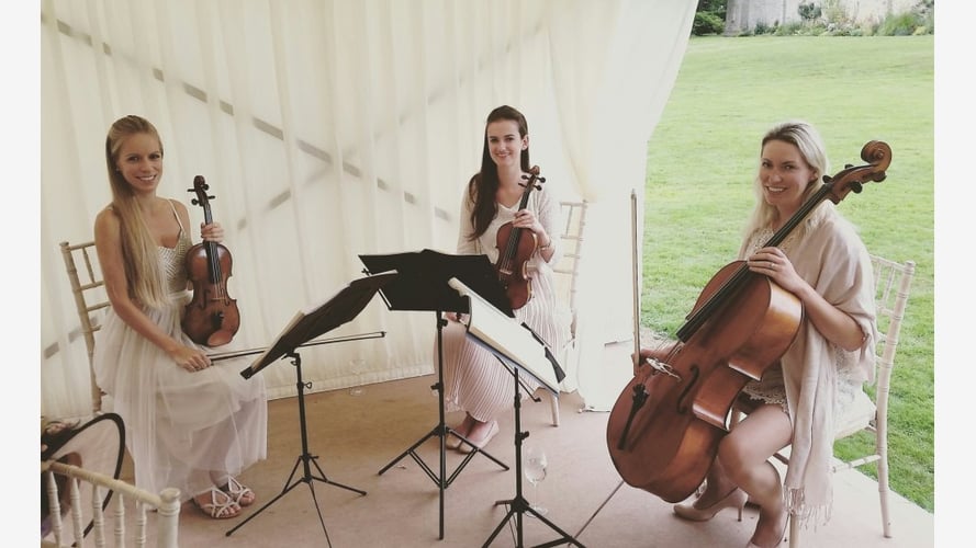 Maestoso Strings