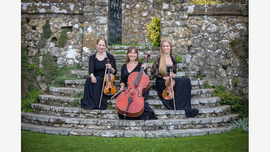 Maestoso Strings
