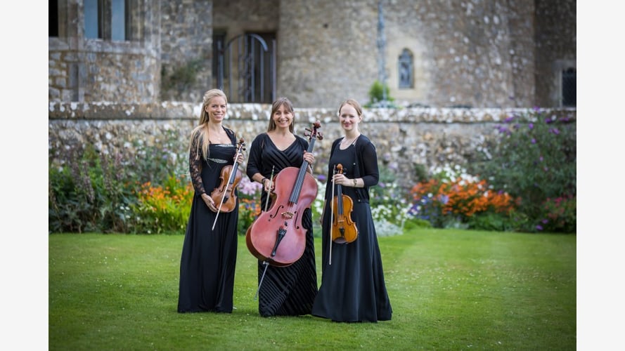 Maestoso Strings