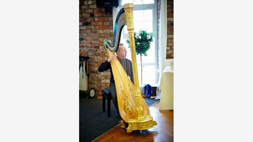The North West Wedding Harpist