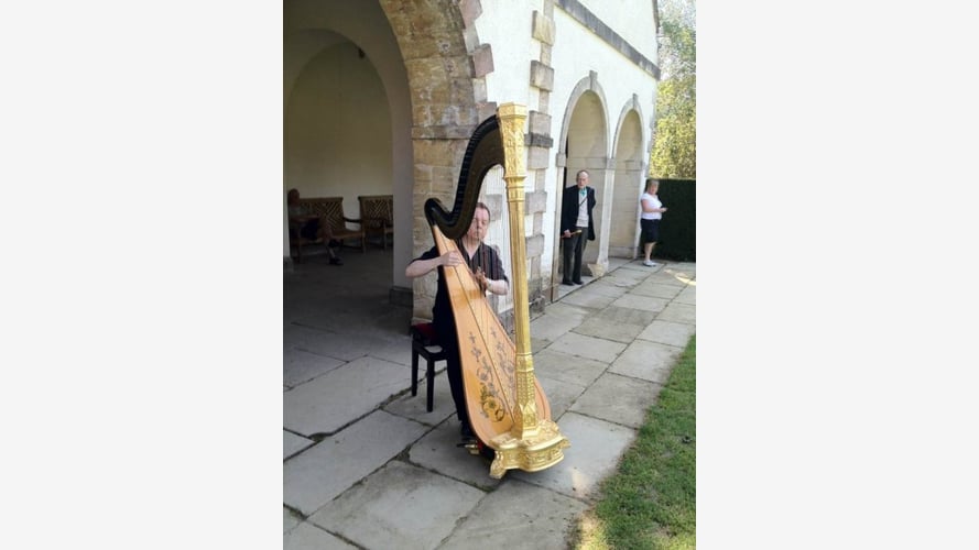 James The Harpist