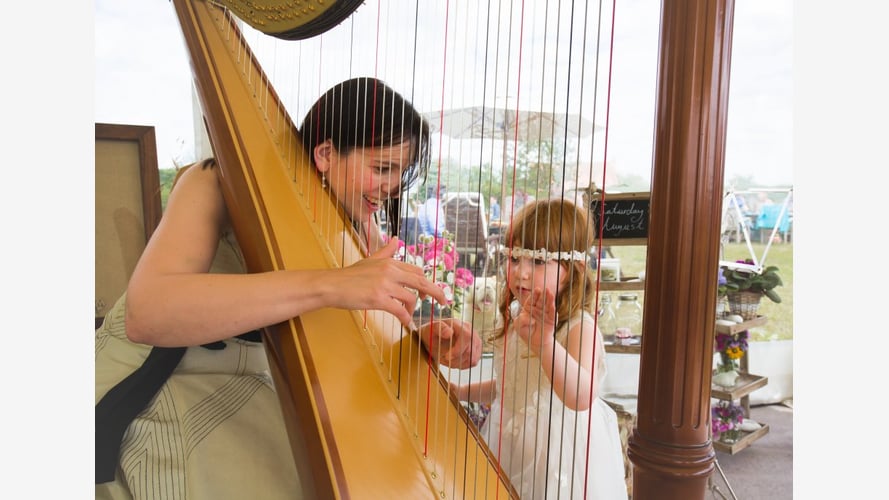 The East Midlands Harpist