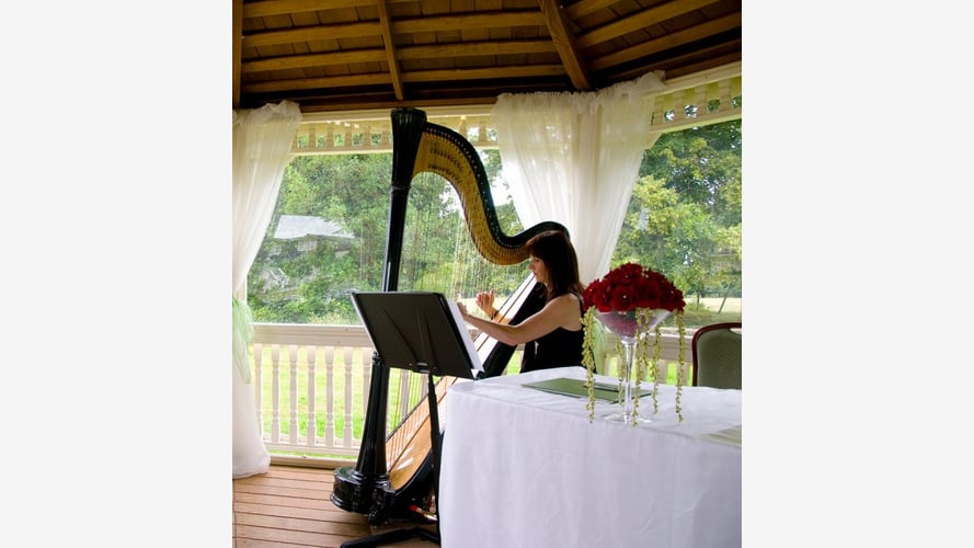 The Cheshire Wedding Harpist