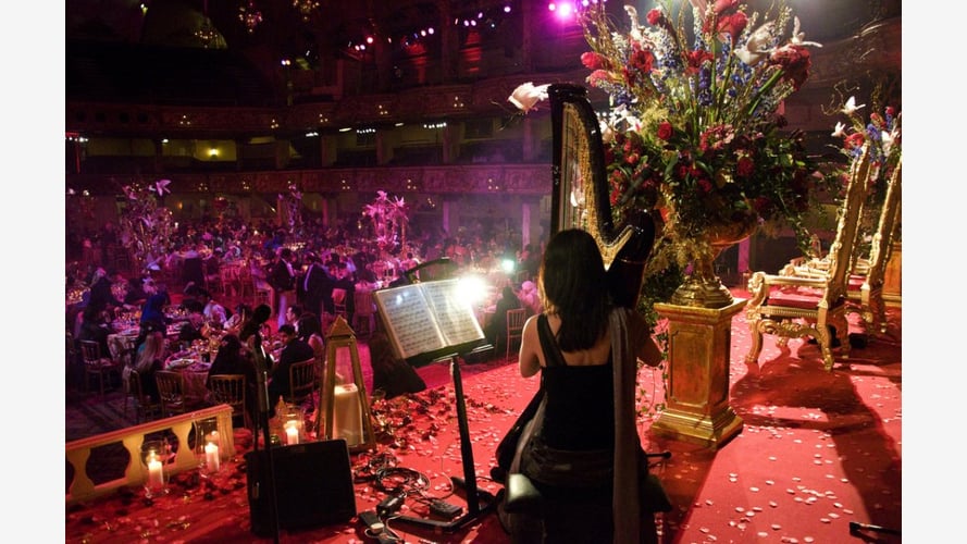 The Cheshire Wedding Harpist