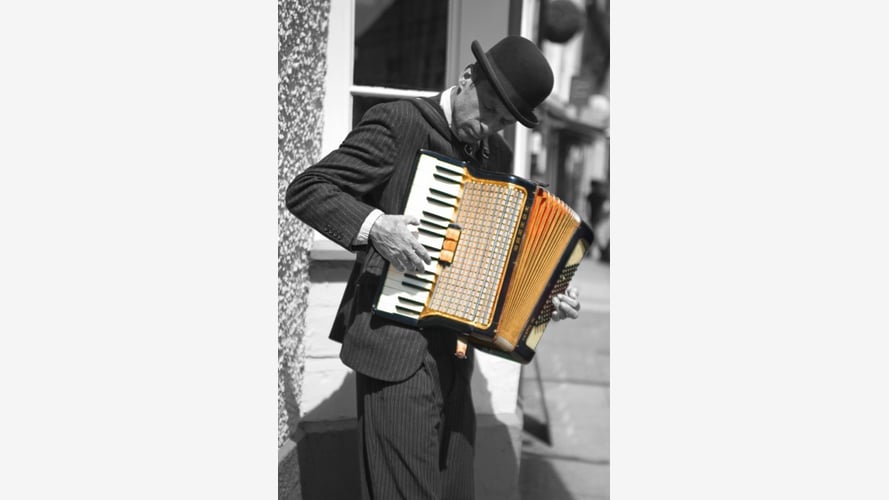 The Accordion Player