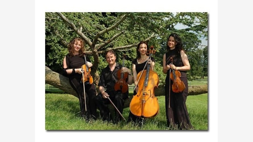 The Devon String Quartet