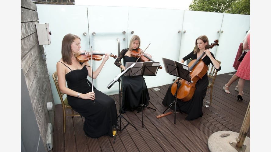 The Ruby String Trio