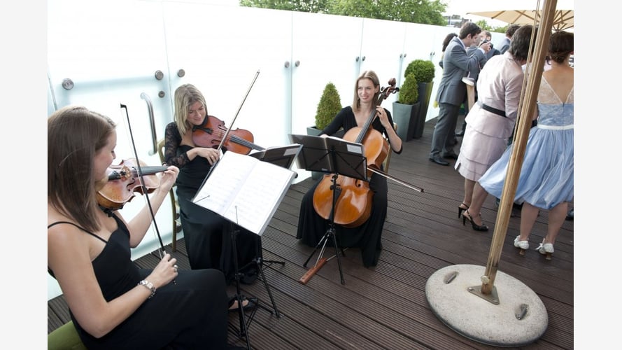 The Ruby String Trio