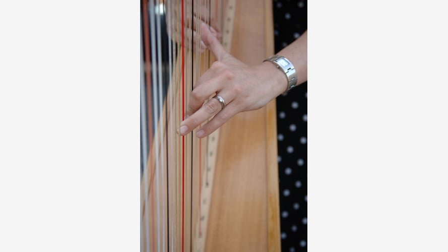 The Glasgow Harpist