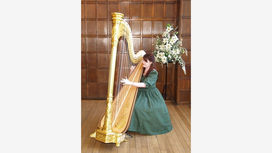 The South East Harpist