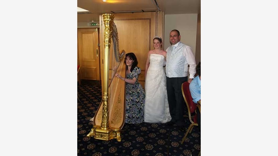 The South East Harpist