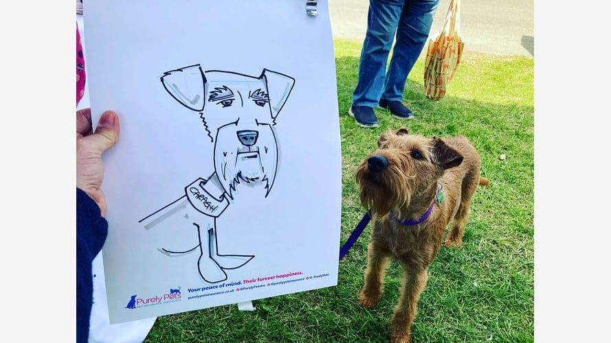 Paul the Caricaturist