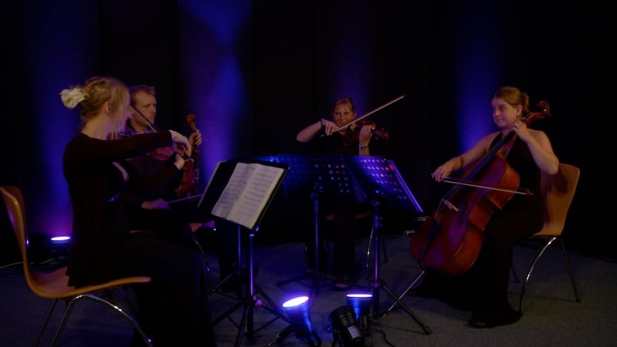 The Mezzo String Quartet